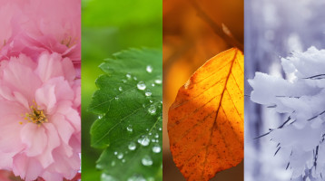 Tudósok eredménye: jóval tovább élhetsz, ha ebben az évszakban születtél