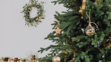 Tedd ezt a fenyőfa vízébe, és nagyon sokáig nem fog hullani a tűlevél