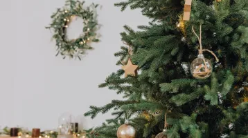 Tedd ezt a fenyőfa vízébe, és nagyon sokáig nem fog hullani a tűlevél