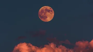 Heti horoszkóp, 2026.01.26. - 2026.02.01.: Olyan fontos hír vagy üzenet érkezhet, ami nagy jelentőséggel bír az Oroszlán számára