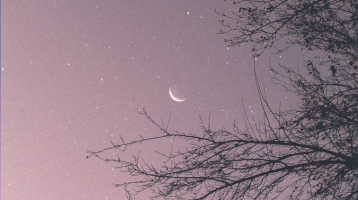 Heti horoszkóp, 2026.02.23. - 2026.03.01.: Egy régi barát kellemes meglepetést okozhat az Ikreknek Heti horoszkóp, 2026.02.23. - 2026.03.01.: Egy régi barát kellemes meglepetést okozhat az Ikreknek