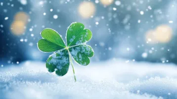 3 csillagjegy, akit december közepén homlokon csókol a szerencse 3 csillagjegy, akit december közepén homlokon csókol a szerencse