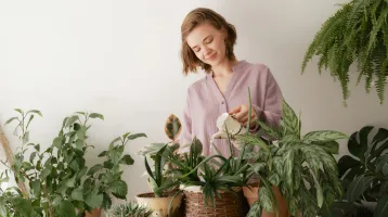 A te növényed is ezt csinálja? 5 jel, ami ijesztőnek tűnik, de teljesen normális