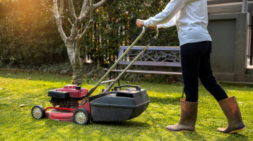 Kertész figyelmeztet – eddig a dátumig tilos füvet nyírni