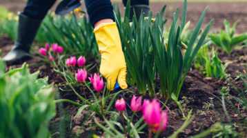 Ébred a tavasz és a természet: ezt a 6 fontos kerti teendőt most érdemes elvégezned Ébred a tavasz és a természet: ezt a 6 fontos kerti teendőt most érdemes elvégezned