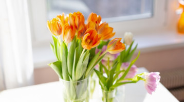 Öntsd ezt a vízbe, és akár egy hétig is friss marad a nőnapi vágott virág: dupla annyi ideig gyönyörködhetsz benne, mint korábban