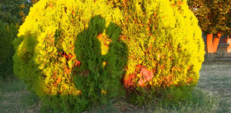 Együtt minden olyan káprázatos, vidám és könnyű