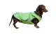 Tacskó télikabát - 19990 Ft