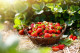 Eperszár és levél

Az eper száráról és leveleiről nem sokan tudják, hogy valójában ehető, és a gyümölcs ezen részében található a legtöbb antioxidáns, amelyek gyulladáscsökkentő, kardio- és neuroprotektív tulajdonsággokkal is rendelkeznek. Ha az íze és állaga nem nyeri el tetszésünket, érdemes belekeverni egy turmixba.