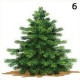 6-os számú fenyő: A karácsony számodra az elcsendesedésről és a nyugalomról szól. A megértés, elfogadás és a béke ünnepe, amiben a vallás is szerepet kap. 6-os számú fenyő: A karácsony számodra az elcsendesedésről és a nyugalomról szól. A megértés, elfogadás és a béke ünnepe, amiben a vallás is szerepet kap.