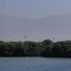 A zöldellő mangrove erdőkben kajakozva flamingókkal is találkozhatsz. A zöldellő mangrove erdőkben kajakozva flamingókkal is találkozhatsz.