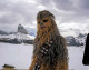 Chewbacca hangja több állatéból van össze mixelve. Ha rá gondol, talán mindenki fülében ott cseng Chewbacca jól ismert hörgése. Az ismert hang valójában medvék, rozmárok, oroszlánok, borzok, és különböző haldokló állatok hangjának ügyes keveréke. Így már egészen másképp gondolunk rá, igaz? 