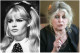 Brigitte Bardot - A francia színésznő évtizedekkel ezelőtt visszavonult a rivaldafénytől és állatjogi-aktivistaként éli mindennapjait. Sajnos felette is eljárt már az idő. Brigitte Bardot - A francia színésznő évtizedekkel ezelőtt visszavonult a rivaldafénytől és állatjogi-aktivistaként éli mindennapjait. Sajnos felette is eljárt már az idő.