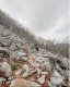 Appalachian Trail túravonal – A Vadon Mindenkié

A Ken Kwapis rendezte kalandos film Bill Bryson azonos című bestseller könyvét dolgozta fel: Bill Brysonról pedig mind tudjuk hogy a világ egyik legnagyobb olyan írója, aki utazásairól szóló kalandjait veti papírra, hírneve pedig A Vadon Mindenkié című könyvvel vált világméretűvé. Bryson a történet szerint megkísérelte megmászni az Appalache-ösvényt egy barátjával. Mindketten negyvenes éveikben jártak, tapasztalatuk pedig nemigen volt a túlélőtúrában, ezért szórakoztató bakikkal teli kalandnak néztek elébe. 2015-ben a világ egyik legviccesebbnek megszavazott könyvéből pedig film készült olyan híres színészek szereplésével, mint Robert Redford, Nick Nolte és Emma Thompson.