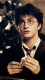 Sokakat tartott lázban a főszereplő nevének eredete is, így a szerzőnő a rajongók számára létrehozott Pottermore weboldalon árult el részleteket erről. A keresztnevét dédapjától, Henrytől örökölte, aki a muglik és a varázslók közötti békét hirdette. A vezetékneve pedig egy századokkal korábbi ősétől, Linfred of Stinchcombe-tól származik. A férfinek a Potterer, magyarul Fazekas becenevet adták, ez a név rövidült az évszázadok során Potterre.