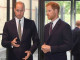 Harry herceg már gyerekként is több figyelmet kapott a szülőktől és a nyilvánosságtól is. Ő volt a család pici szemefénye, így Vilmos sokáig irigykedett rá. Kamaszkorukra ez megszűnt, de a Meghan okozta cirkusz miatt az idősebbik herceg újra azt érezte, hogy öccse került a középpontba.