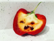 Félelmetes, ahogyan röhög ez a paprika! A viselkedése annyira zavarbaejtő, hogy már-már elgondolkodik rajta az ember, egyáltalán beleharapjon-e.