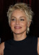 Sharon Stone azt mondja, hogy "elemi ösztöne", hogy egyedülálló anya legyen. A 90-es évek szexszimbóluma 1984-ben Michael Greenburg televíziós producer felesége lett, de három év múlva elváltak. 1998-ban Phil Bronstein szerkesztőhöz ment hozzá, de ez a házasság is válással végződött hat évvel később. Azóta befejezte a pasizást és három örökbefogadott fiának él.