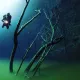 A Cenote Angelita egy 55-60 méter mély „akna”, ami minimálisan szűkül lefelé, a hidrogén-szulfát réteg pedig 2-4 méter vastag, alatta pedig csak a koromsötét, sós víz található.