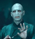 A sorozat főgonoszának, Voldemortnak minden országban más neve volt. A magyarban Tom Denem keresztelték, amelyből a Nevem, Voldemort anagramma született. Az angol eredetiben "Tom Marvolo Riddle" lesz "I am Lord Voldemort. A franciáknál "Tom Elvis Jedusor - Je suis" Voldemort, a spanyoloknál "Tom Sorvolo Ryddle - Soy Lord Voldemort" nevet viselte a legsötétebb fekete mágus.