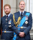 Harry visszaemlékezése szerint Vilmos megragadta őt a gallérjánál fogva, elszakította a nyakláncát, majd a földre lökte őt: a herceg a kutyatálra esett, ami darabokra tört az eséstől, ezzel megsebesítve Harry hátát, aki azonnal elzavarta bátyját.
