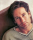 Matt LeBlanchoz hasonlóan David Duchovny is szerepelt ugyanabban a „Red Shoe Diaries” című sorozatban, 1992-ben. Egy évvel később, 1993-ban megkapta a főszerepet az immár ikonikus X-aktákban – és a többi, ahogy mondják, már történelem.