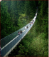 3. Capilano függőhíd, Vancouver

A vancouveri Capilano park Kanada első olyan parkja, amely egy őserdőben található. Legnépszerűbb látványossága a keskeny Capilano függőhíd, amely 70 méter magasan vezet át 100 méteres fenyőfák sűrűjében a folyó felett.