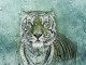 Tigris (1938, 1950, 1962, 1974, 1986, 1998, 2010, 2022)

A Tigris minden tekintetben szerencsés évre számíthat majd 2023-ban, de tanulnia kell a múltbeli kudarcaiból, hogy a jövőben elkerülje a katasztrófákat, amiket korábban elkövetett. Fontos lesz tehát számára az értékes tapasztalatszerzés, ami karrierjét is fellendíti majd: munkahelyén javulásra számíthat, de anyagi helyzete összességében csökkenő tendenciát mutat, ezért lehet, hogy nem árt új területeken is kipróbálnia magát, hogy több pénzhez jusson, mint az előző évben. Szerencseszíne a zöld.