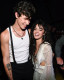 A Senorita több díjat is bezsemelt, még Grammy-díjra is jelölték a legjobb popduó kategóriájában, ám főleg azért lett olyan felkapott, mert Camila és Shawn ezt követően erősítették meg, hogy nem csupán barátság van közöttük, hanem romantikus kapcsolat.
