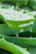Aloe vera

Az aloe vera gyulladáscsökkentő tulajdonságai szintén enyhíthetik a visszerek láthatóságát. Fontos viszont, hogy tiszta aloe vera gélt használj, amely nem tartalmaz olyan összetevőket, melyek irritálhatják bőrödet!