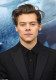 Harry Styles - 4 mellbimbó

Harry Styles egy 2017-es interjúban erősítette meg a róla terjengő információt, miszerint 4 mellbimbóval rendelkezik. Egészen gyakori, hogy a test fejlődése során a mellbimbókat képző sejtek kis rózsaszín dudorokat hoznak létre a mell alatti szövetben. Ezek az apró foltok valójában sokkal halványabbak a mellbimbóknál, olykor szinte észrevenni is nehéz őket.