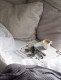 A tökéletes ízű nedű egyik titka, hogy frissen őrölt szemes kávét érdemes választani. Az aromásabb, testesebb aromákért még jobb, ha közvetlenül a főzés előtt saját magunk őröljük le az értékes növényt.