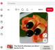 Az ackee gyümölcs ritkasága már most is nyilvánvaló, hiszen csak nagyon kevés helyen lehet legálisan forgalmazni. Az Egyesült Államokban például hosszú időn keresztül tiltották a behozatalát, mert komoly mérgezési esetek kapcsolódtak hozzá. Ez önmagában is jelentősen szűkítette a piacát, hiszen így csak Jamaikán és néhány karibi országon belül maradt igazán elérhető. A helyi gazdák ugyan mindent megtesznek azért, hogy fenntartsák a termelést, de a változó időjárási körülmények miatt egyre nehezebb stabil hozamokat elérni. A ritkasága miatt különleges státuszt élvez, ám ezzel együtt fennáll a veszély, hogy hamarosan teljesen eltűnik a kereskedelmi láncokból. Az ackee tehát már most sem egy hétköznapi gyümölcs, de a közeljövőben könnyen lehet, hogy végleg a múlt részévé válik.