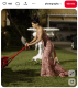A sorozat során szerzett számtalan élmény és emlék közül Eva Longoria kedvenc jelenete az volt, amikor karaktere, Gabrielle egy elegáns estélyi ruhában kellett füvet nyírnia, hogy férje ne jöjjön rá a viszonyára a kertészükkel.  A komikus kontraszt és a karakterhez illő elegancia keveredése miatt épp ez a jelenet ragadt meg benne leginkább. Számára ez a pillanat tökéletesen ötvözte a sorozat humoros és drámai oldalát, valamint Gabrielle kis túlzásokkal teli, ugyanakkor emberi arcát is megmutatta. Ez a jelenet mára nemcsak a színésznő kedvence lett, hanem a sorozat egyik legikonikusabb pillanatává nőtte ki magát.