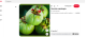 A Garcinia cambogia nevű növény valójában egy trópusi gyümölcsöt takar, amit gyakran csempésznek étrend-kiegészítő kapszulákba, mivel elősegítheti a fogyást a fogyókúra idején, ugyanis HCA-t tartalmaz, melyről úgy tartják, hogy elnyomja az étvágyat, valamint blokkolja a szervezetben a zsírtermeléshez szükséges enzim működését. Beszámoltak továbbá arról is, hogy ez a növény a koleszterinszintet is csökkentheti az étvágy mellett, valamint javíthatja az állóképességet, így a sportolók körében is népszerűek az olyan típusú készítmények, melyek ezt a gyümölcsöt tartalmazzák. A lehetséges kockázatok a májra nézve azonban meghaladhatják az előnyöket: akut májelégtelenségről és hepatitis-szerű tünetekről is beszámoltak már azok, akik sokáig szedték a Garcinia cambogia tartalmú kapszulákat, a panaszok pedig főleg azok esetében jelentkeztek, akik más súlycsökkentő étrend-kiegészítőkkel is kombinálták ezt a növényt.
 