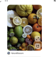 Citrusfélék

A narancs, a grépfrút és a citrom rendkívül gazdagok C-vitaminban, amely nélkülözhetetlen a szervezet kollagéntermeléséhez. Mivel a kollagén a hajszálakat felépítő fehérjék szerves része, a citrusfélék közvetlenül segítik az erős hajszerkezet kialakulását.