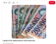 Ezek a feltételek nem pusztán technikai mutatók, hanem azt hivatottak biztosítani, hogy az adott ország gazdasága elég stabil legyen ahhoz, hogy a közös valuta előnyeit élvezni tudja, és ne okozzon instabilitást az eurózónán belül.