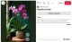 Sok lakásban található orchidea is, amely bár nem minden fajtájában egyformán érzékeny, általában szintén jobban érzi magát a radiátoroktól távol. A folyamatosan áramló meleg levegő kiszáríthatja a gyökereket és a leveleket, ami hosszabb távon gyengítheti a növényt, és kedvezőtlenül befolyásolhatja a virágzást.