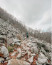 Appalachian Trail túravonal – A Vadon Mindenkié
A Ken Kwapis rendezte kalandos film Bill Bryson azonos című bestseller könyvét dolgozta fel: Bill Brysonról pedig mind tudjuk hogy a világ egyik legnagyobb olyan írója, aki utazásairól szóló kalandjait veti papírra, hírneve pedig A Vadon Mindenkié című könyvvel vált világméretűvé. Bryson a történet szerint megkísérelte megmászni az Appalache-ösvényt egy barátjával. Mindketten negyvenes éveikben jártak, tapasztalatuk pedig nemigen volt a túlélőtúrában, ezért szórakoztató bakikkal teli kalandnak néztek elébe. 2015-ben a világ egyik legviccesebbnek megszavazott könyvéből pedig film készült olyan híres színészek szereplésével, mint Robert Redford, Nick Nolte és Emma Thompson.
Appalachian Trail túravonal – A Vadon Mindenkié
A Ken Kwapis rendezte kalandos film Bill Bryson azonos című bestseller könyvét dolgozta fel: Bill Brysonról pedig mind tudjuk hogy a világ egyik legnagyobb olyan írója, aki utazásairól szóló kalandjait veti papírra, hírneve pedig A Vadon Mindenkié című könyvvel vált világméretűvé. Bryson a történet szerint megkísérelte megmászni az Appalache-ösvényt egy barátjával. Mindketten negyvenes éveikben jártak, tapasztalatuk pedig nemigen volt a túlélőtúrában, ezért szórakoztató bakikkal teli kalandnak néztek elébe. 2015-ben a világ egyik legviccesebbnek megszavazott könyvéből pedig film készült olyan híres színészek szereplésével, mint Robert Redford, Nick Nolte és Emma Thompson.