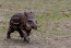 Awwww. Awwww.