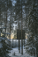 Treehotel, Svédország - Átlátszó kocka, amely alkalmazkodik a természethez, madárfészek vagy UFO? Csakis rajtad múlik, hogy hol töltöd az éjszakát. A hely arra is tökéletesen alkalmas, hogy lássuk a sarki fényeket.
Treehotel, Svédország - Átlátszó kocka, amely alkalmazkodik a természethez, madárfészek vagy UFO? Csakis rajtad múlik, hogy hol töltöd az éjszakát. A hely arra is tökéletesen alkalmas, hogy lássuk a sarki fényeket.