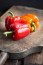 PAPRIKA. A paprikát a vásárlás után nem szabad hűtőbe tenni, mert elveszti frissességét és ráncos lesz. Ha hűtőben tároljuk, a paprika elveszíti nedvességét és aromáját is. Bár a zöldség szereti a hűvöset, a hűtő helyett a kamra a jó megoldás.
PAPRIKA. A paprikát a vásárlás után nem szabad hűtőbe tenni, mert elveszti frissességét és ráncos lesz. Ha hűtőben tároljuk, a paprika elveszíti nedvességét és aromáját is. Bár a zöldség szereti a hűvöset, a hűtő helyett a kamra a jó megoldás.