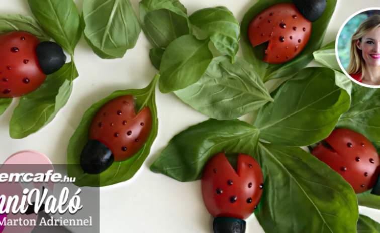 Egy tányérnyi vidámság – "katicabogarak" friss bazsalikom ágyon Egy tányérnyi vidámság – "katicabogarak" friss bazsalikom ágyon