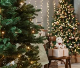 Könnyen lehet, hogy a te karácsonyfád tűlevelei is aranyat rejtenek, csak eddig nem tudtál róla Könnyen lehet, hogy a te karácsonyfád tűlevelei is aranyat rejtenek, csak eddig nem tudtál róla