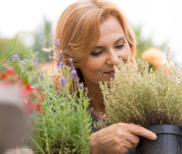 Ha csak egy növényt ültetsz idén nyáron ez legyen az: 5 ok, amiért egyszerűen imádni fogod