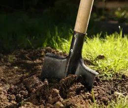 Medencét ásott a kertjében a férfi, gyanús szatyrokat talált a föld alatt: amikor szemügyre vette a tartalmukat, kis híján elájult Medencét ásott a kertjében a férfi, gyanús szatyrokat talált a föld alatt: amikor szemügyre vette a tartalmukat, kis híján elájult