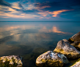 Élnek veszélyes állatok a Balatonban, amik meg tudnak harapni, vagy csípni? Élnek veszélyes állatok a Balatonban, amik meg tudnak harapni, vagy csípni?