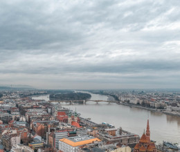 Újabb budapesti kerületet leptek el a kártevők, egyelőre nincs megoldás az ügyben Újabb budapesti kerületet leptek el a kártevők, egyelőre nincs megoldás az ügyben