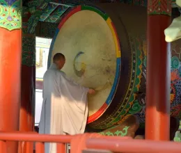Nem ember, mégis buddhista lett: Gabi szerzetesi esküjén ámul a világ Nem ember, mégis buddhista lett: Gabi szerzetesi esküjén ámul a világ