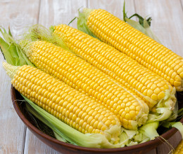 Ilyen csemegekukoricát semmiképp ne válassz a boltban, jóval rosszabb a minősége